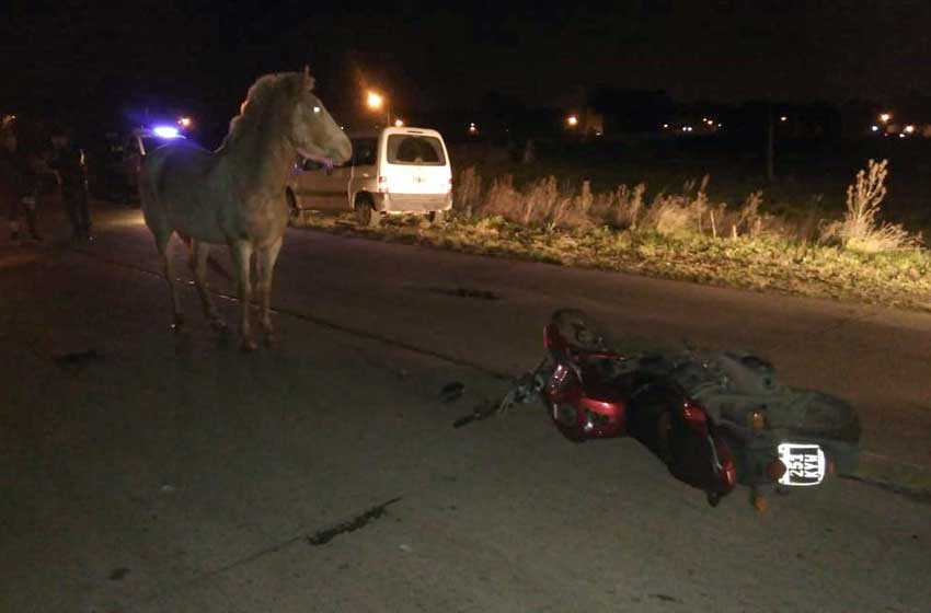 Un motociclista murió tras chocar con un caballo