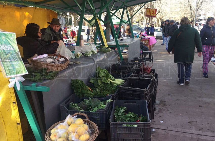 Plaza Rocha: feriantes acusan que el Municipio no deja vender comida