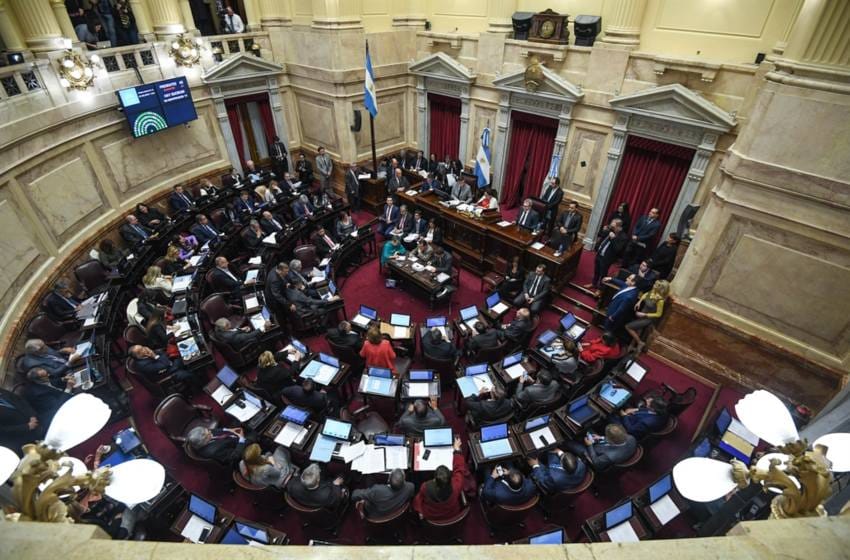 Senado: comenzó la etapa final del debate de legalización del aborto