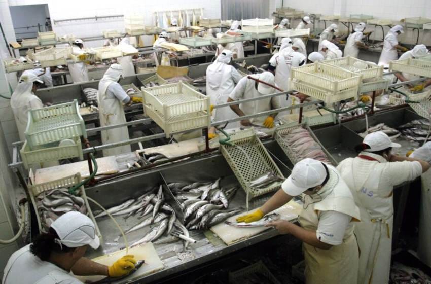 "La baja de cargas sociales es importante para las plantas pesqueras"
