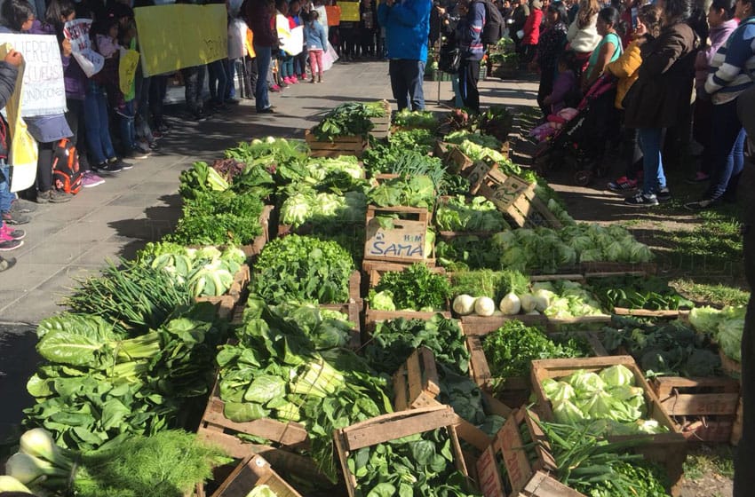 "Feriazo" en La Rioja y San Martín: "Habrá verduras que no le harán mal a la salud y a buen precio"