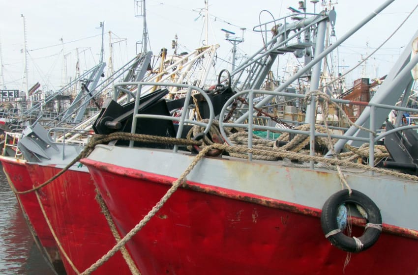 Pesca: "El dólar alto sirve pero no puede haber saltos tan bruscos"