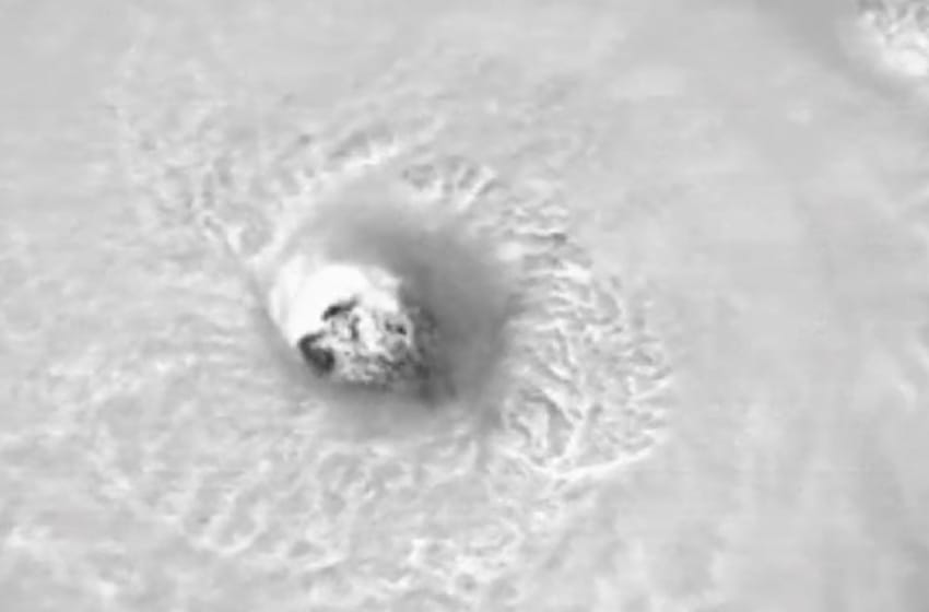 Estados Unidos en alerta: impresionante video del huracán Florence