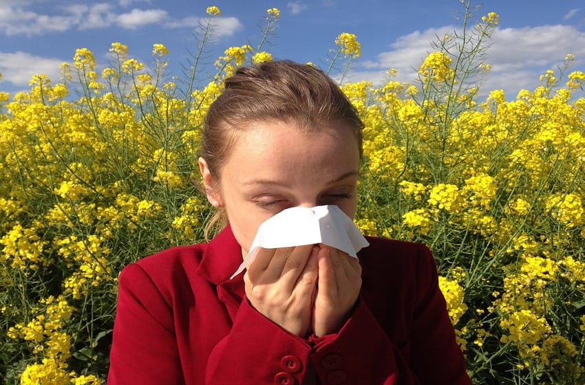 Cómo prevenir las alergias estacionales
