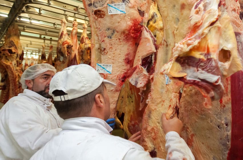 Crece la exportación de carne vacuna, pero cae el consumo interno