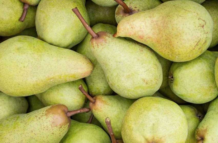 Por una deuda, la AFIP podría rematar chacras de peras y manzanas