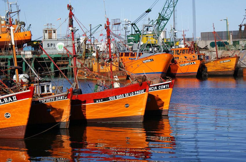 El 98% de los desembarcos pesqueros de la provincia se hacen en Mar del Plata