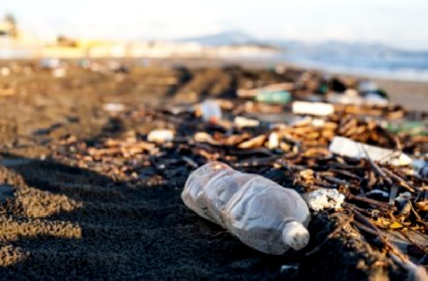 Por el Día mundial de la Limpieza, convocan a un encuentro en la playa popular