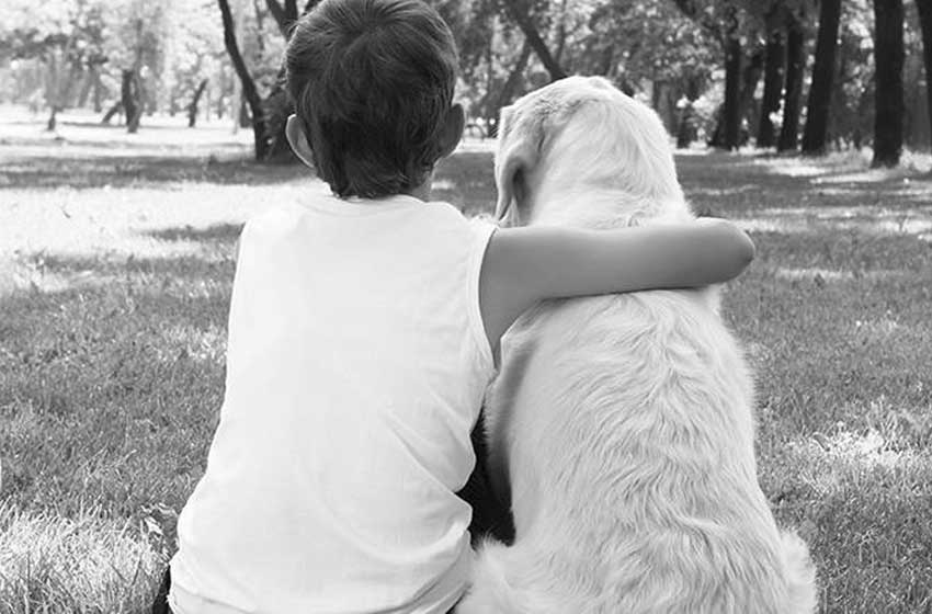 Adopción en Mar del Plata: la historia del nene y el perro que buscan una familia