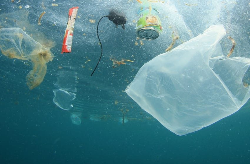 Alertan que los residuos plásticos ya contaminaron "todos los rincones de los océanos"