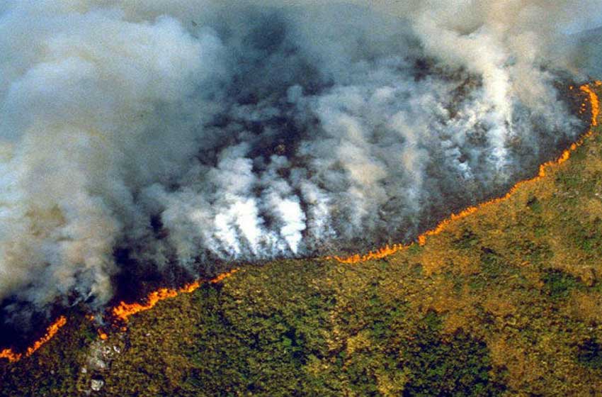 Incendio en el Amazonas: el humo llegó a la Argentina y podría avanzar hasta Buenos Aires