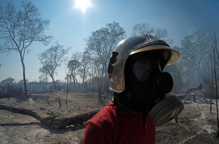 Amazonas: Bomberos marplatenses viajarían a colaborar en los incendios forestales