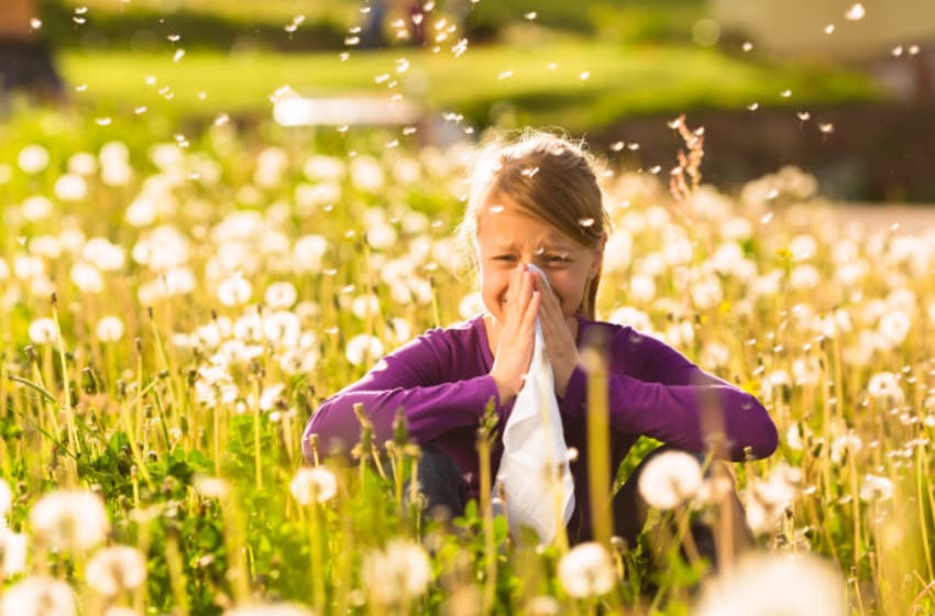 Cómo prevenir las alergias en primavera