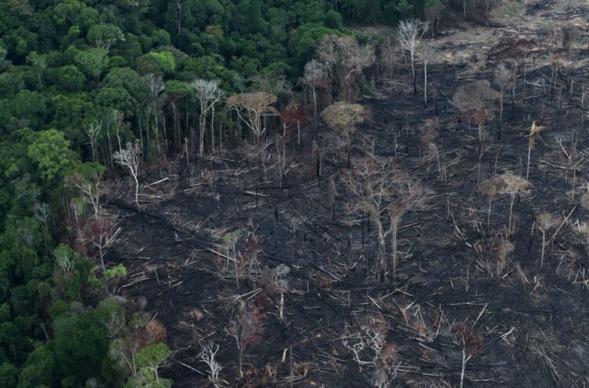 La deforestación del Amazonas alcanza el nivel más alto en la última década