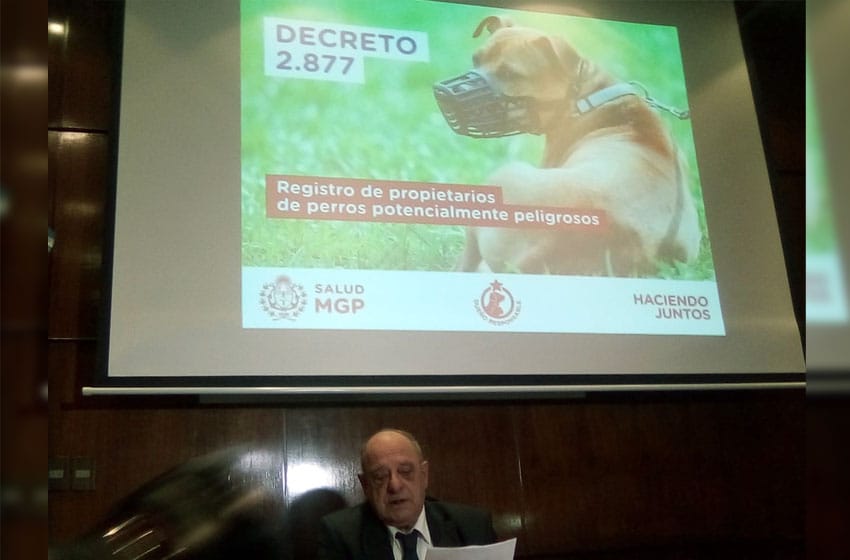 Arroyo lanzó un decreto para "controlar" los perros peligrosos: habrá multas de hasta 80 mil pesos