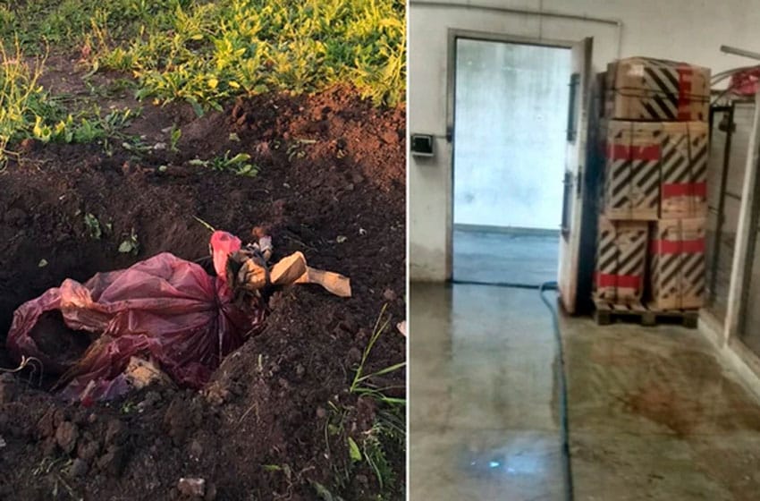 Denuncian matanza de perros en Zoonosis: "Aparecieron varios animales en bolsas"