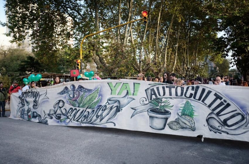 Celebran un fallo "contra la arbitrariedad, requisas ilegales y violencia policial a usuarios de cannabis"