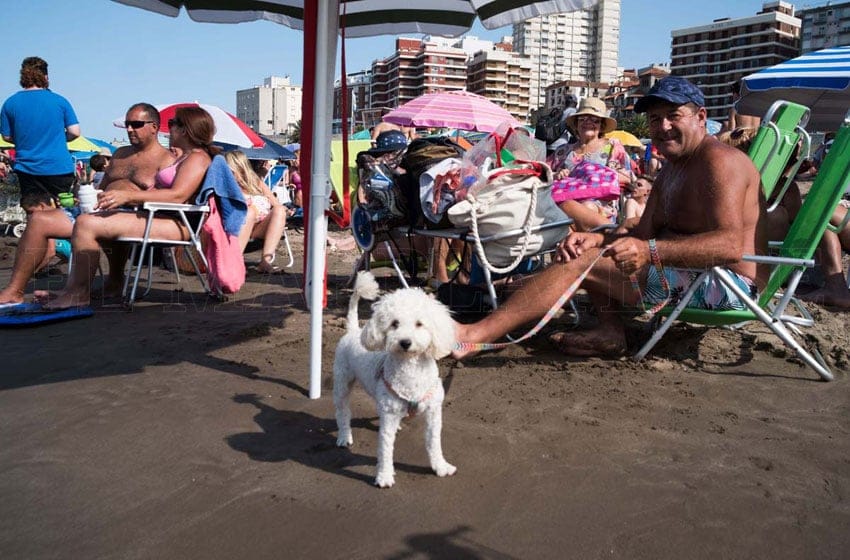 Si hay sol hay playa: arranca un gran domingo en Mar del Plata