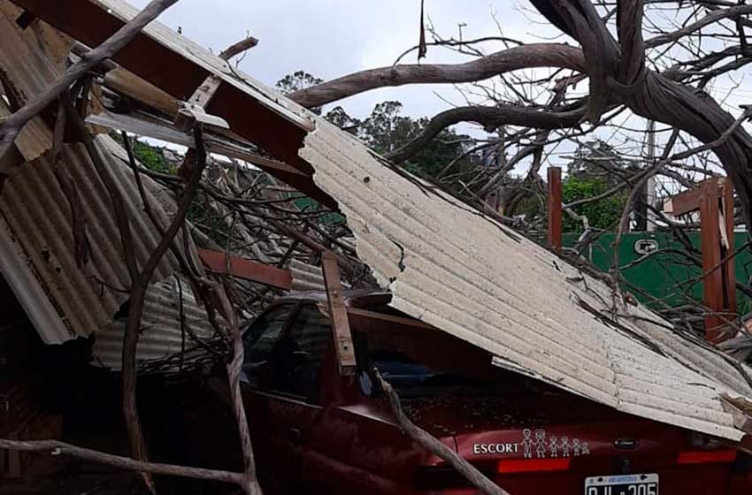 Video: un árbol aplastó una casa en el barrio El Jardín de Stella Maris