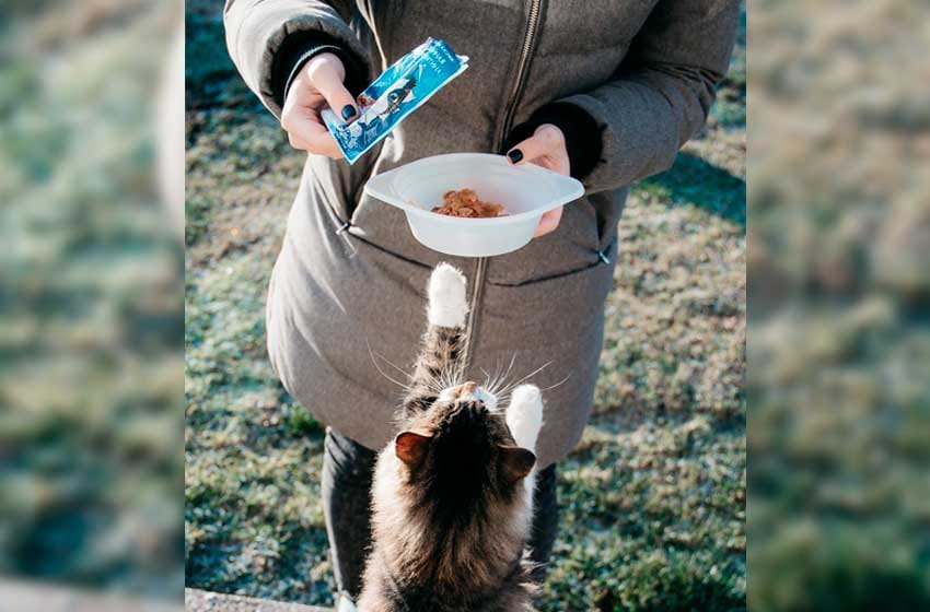 El delivery de comida de mascotas en el mismo día es una realidad en Argentina