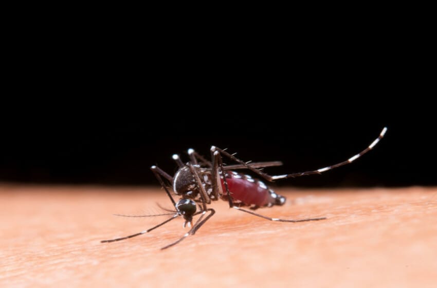 Aumenta el riesgo de Dengue