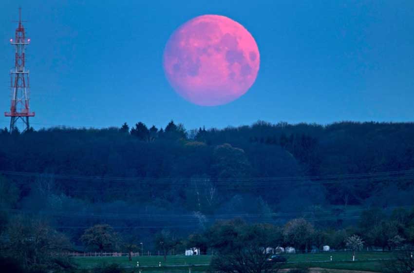 Superluna rosa: el satélite se verá hoy un 12% más grande