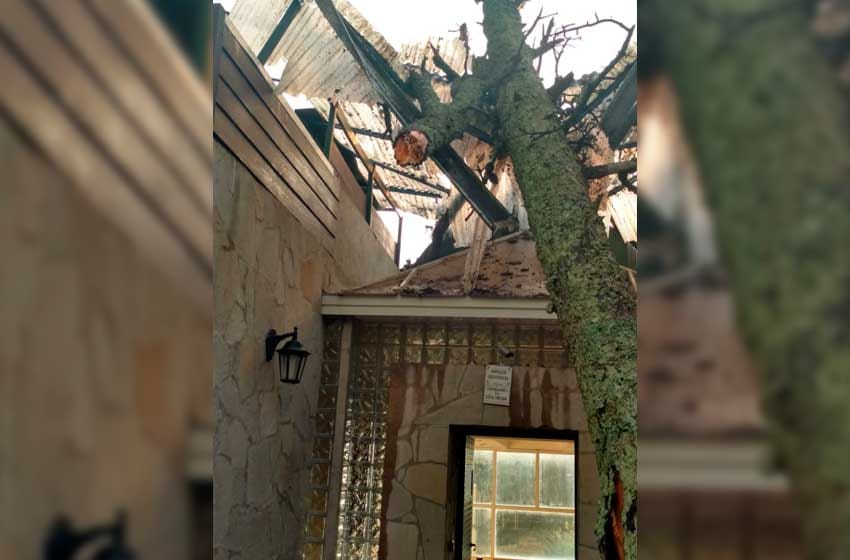 Impactante: las fotos de la caída de un árbol sobre una casa en Sierra de los Padres