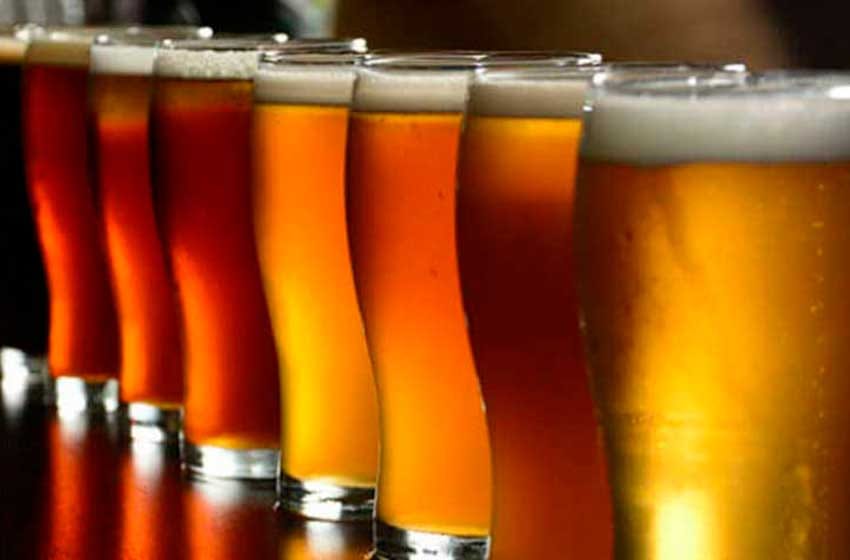 Proponen que se haga una Feria de la Cerveza Artesanal en Mar del Plata