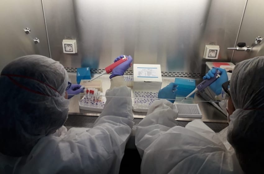 Coronavirus: aplican novedoso testeo para el personal de salud en Mar de Plata