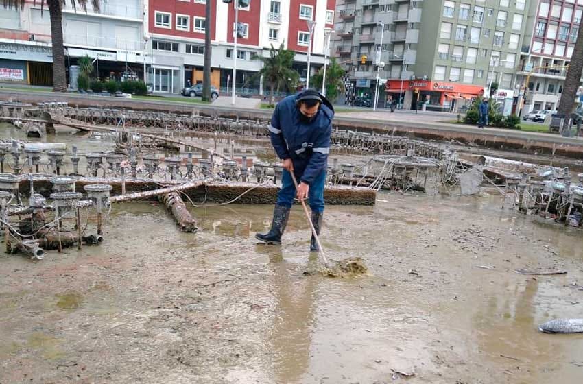 El Emsur intensificó los trabajos de limpieza en fuentes y microbasurales de Mar del Plata