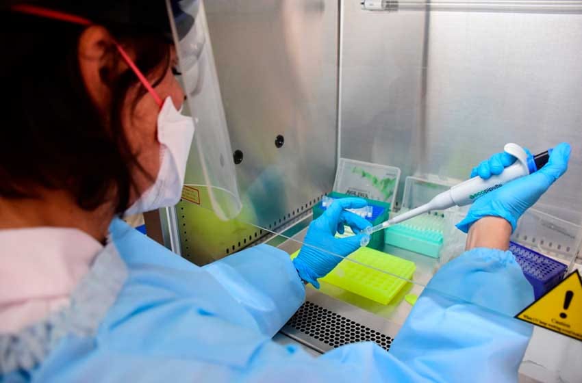 En enero comenzarán los ensayos de la Fase 1 de la vacuna argentina contra el Covid-19