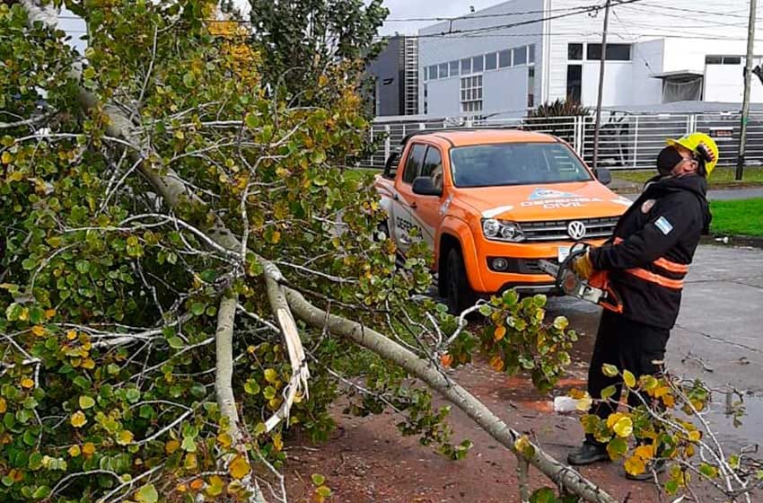 El temporal de viento dejó un total de 18 árboles caídos y varios postes