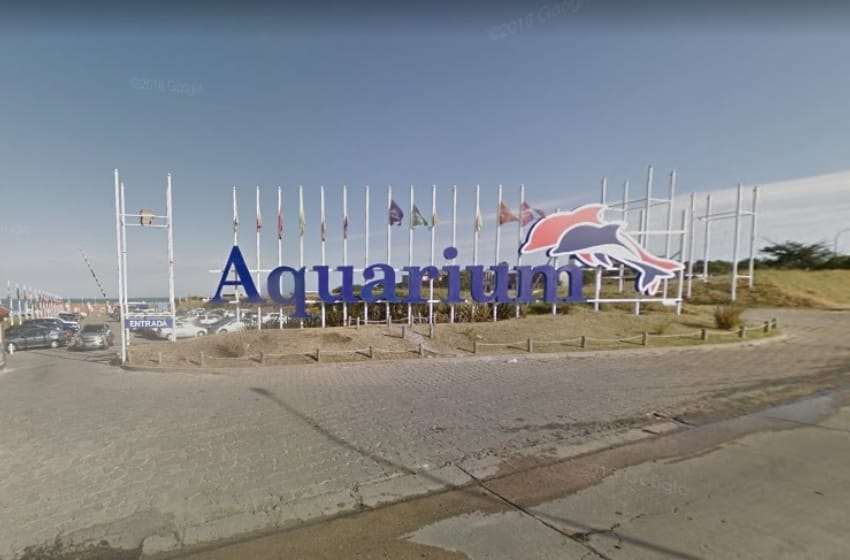 Desmienten "abandono" de animales en el Aquarium de Mar del Plata