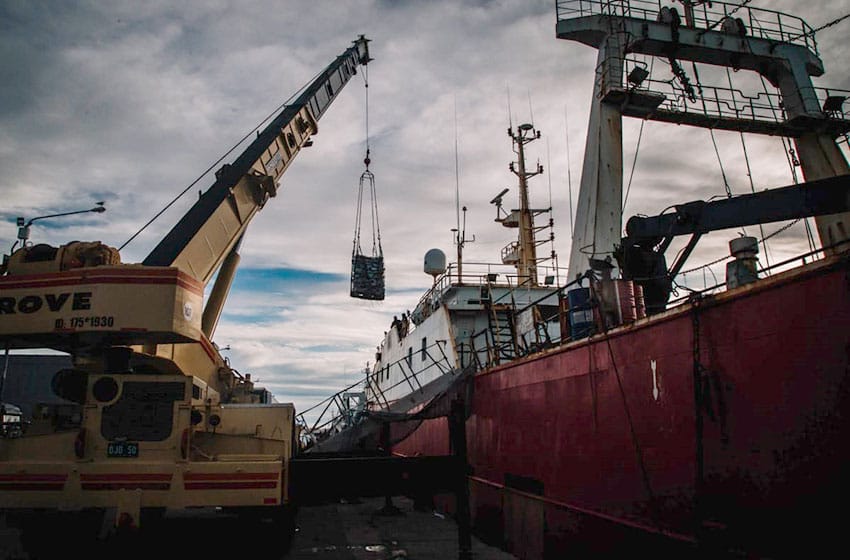 Crecieron más de un 12% las descargas de pesca en el puerto marplatense