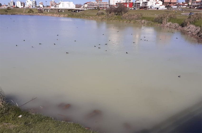 Vecinos denuncian contaminación en las Lagunas de Punta Mogotes