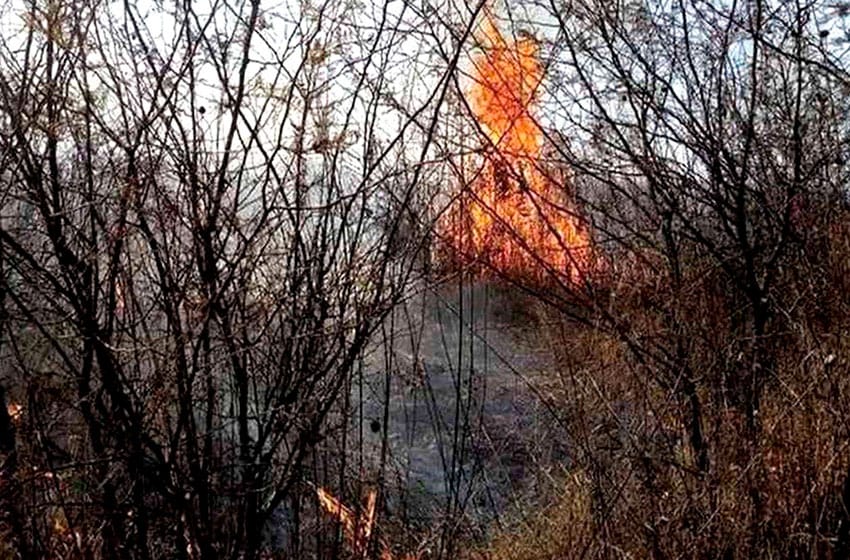 Neuquén y Chubut continúan con focos activos de incendios forestales