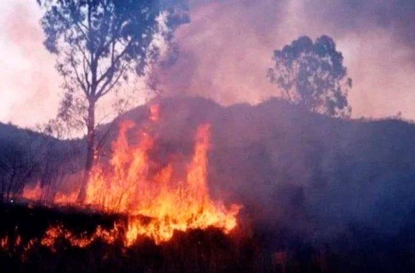 Registran focos de incendio activos en Neuquén, Mendoza, Buenos Aires y Jujuy