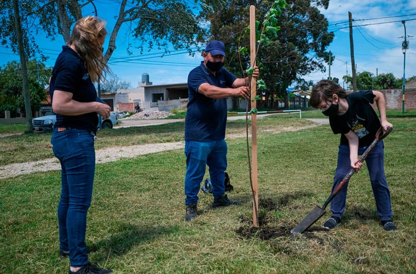 Se plantaron 1000 árboles en más de 30 barrios de la ciudad