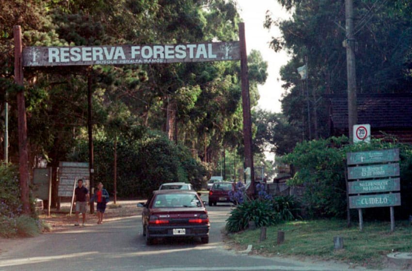 Vecinos de Mogotes, Faro Norte, Colinas, Jardín y el Bosque denunciaron que "se liberó la zona"