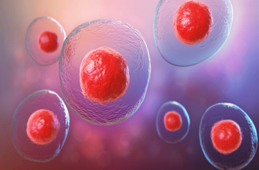 El uso de células madre en el Covid-19