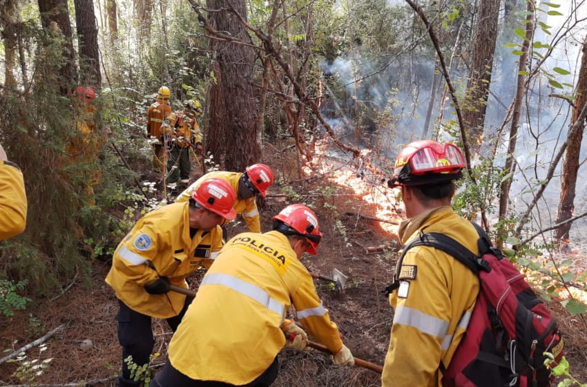 Incendio en Cariló: hay 15 hectáreas afectadas