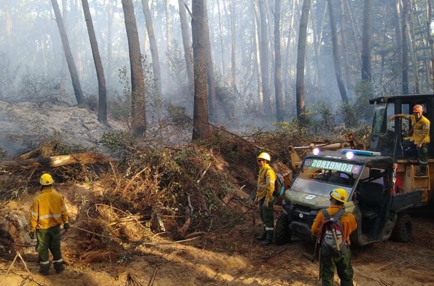 Ayuda marplatense para apagar incendios forestales en Cariló y Tandil