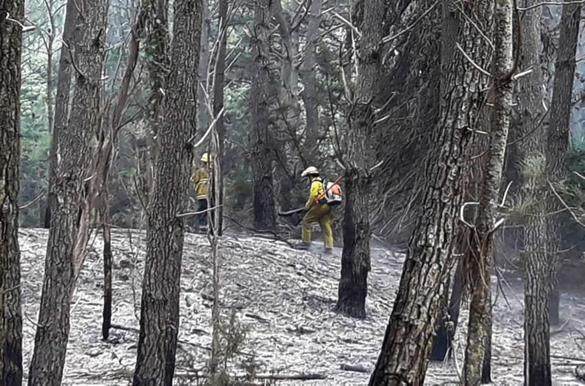 Incendios en Cariló: afectó a 15 hectáreas pero "está controlado"