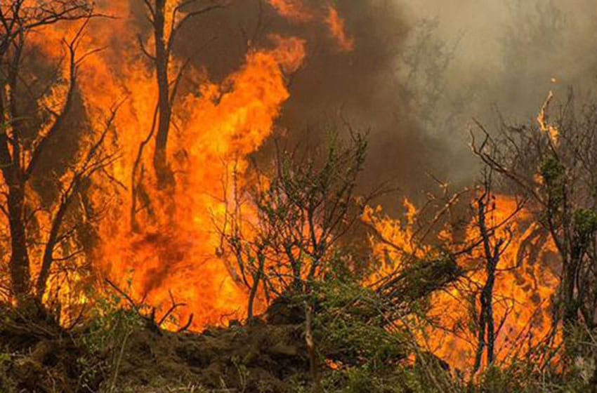 Otorgan beneficios excepcionales a población afectada por incendios en Chubut