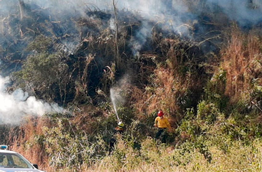 "Seguimos con índices que marcan tendencias y previsiones de incendios forestales"
