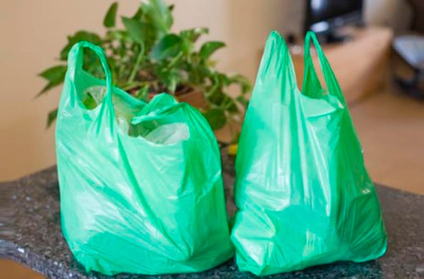 Proponen reemplazar bolsas de plásticos convencionales por productos biodegradables