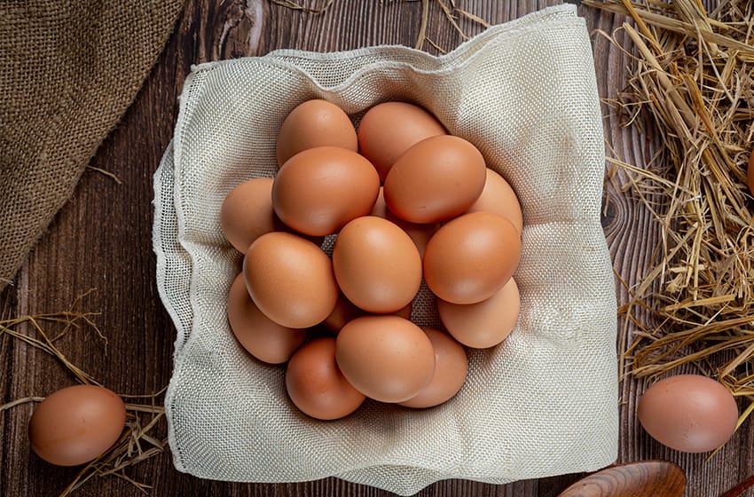 Productores de huevos elogiaron la decisión del Gobierno de eliminar retenciones al sector