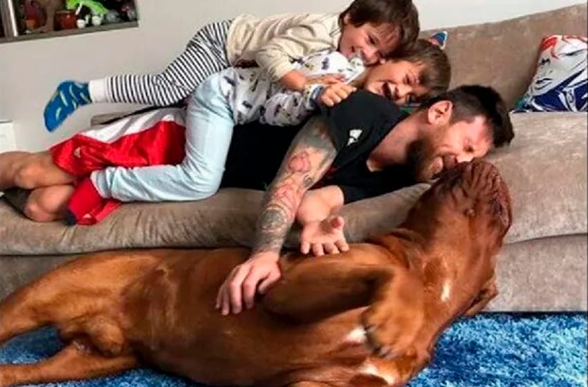 Antonella Roccuzzo mostró el esperado reencuentro de los Messi con su perro Hulk