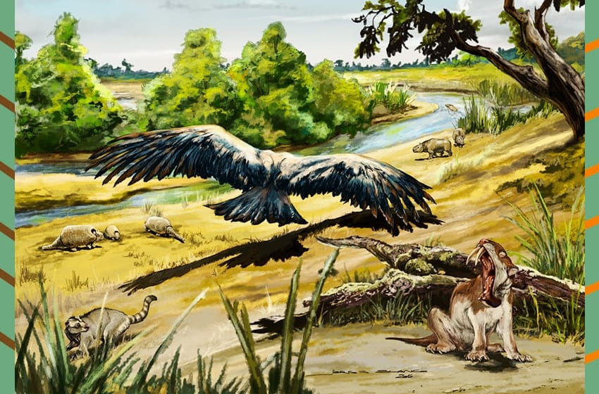 Logran datar faunas del Mioceno tardío-Plioceno gracias a aportes marplatenses