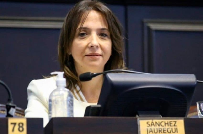 Qué dijo Sánchez Jauregui, la diputada que saltó de Juntos al kirchnerismo